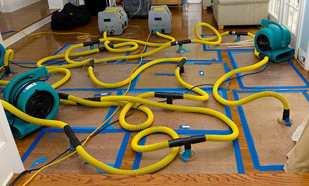 Professional Storm Water Damage Restoration technician working in Oakwood, OH